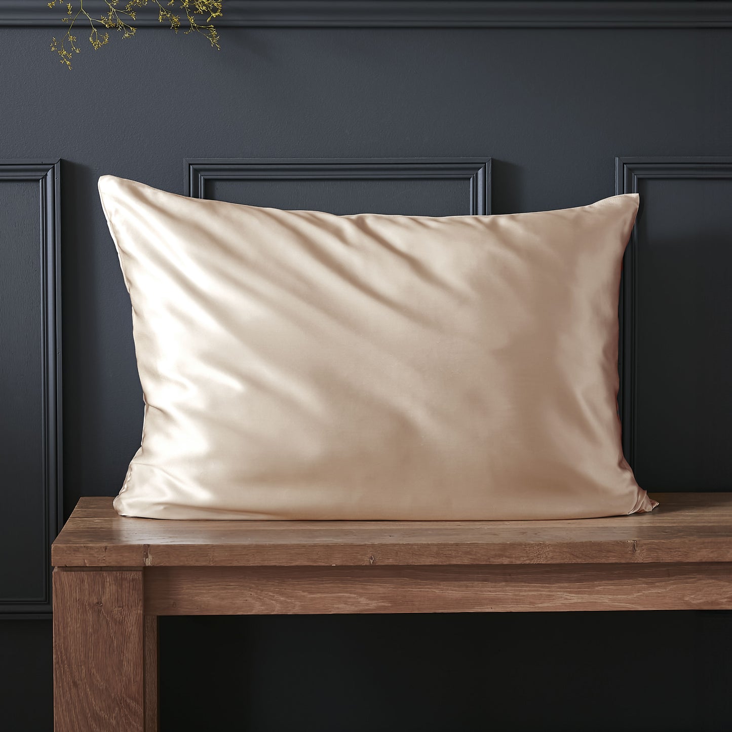 Federa Glossy Luxury